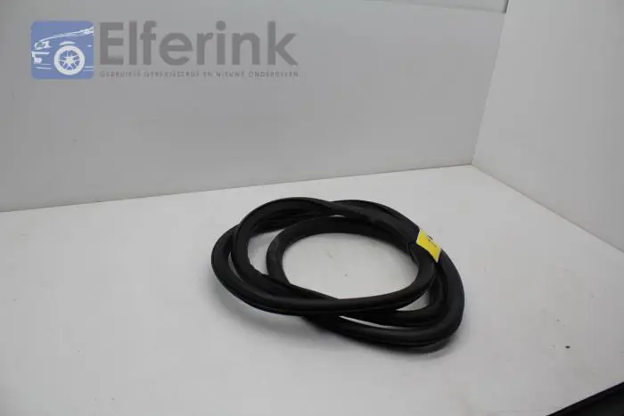 Rear door seal 4-door, left Opel Insignia